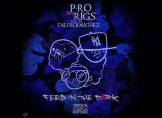 P-Ro x Rigs Deliver “Feed In The Dark”
