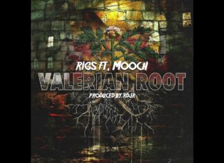 Rigs x Mooch Drop RDJR Laced “Valerian Root”