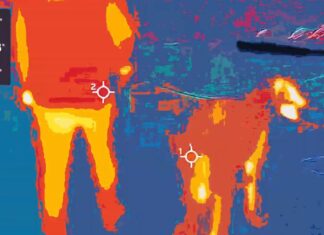 Aesop Rock shines brightly on the “Send Help” video