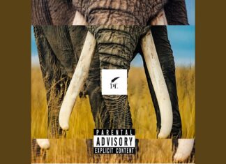 Fam Ross x Arsinel(Pen Lordz)ft. Shade Cobain & Audio Messiah Unleash “Elephant Tusk”