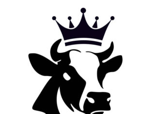 OSVN opens your third eye on “Long Live the Cow”