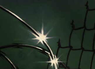 Graphwize & Cedar Law$ Deliver “Silky Saturn Rings”