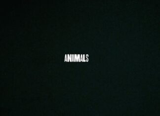 JID x Eminem Unleash “Animals(Pt. 1)”