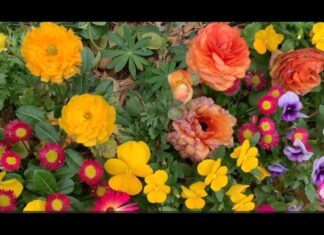 River Nelson drops “Seasons” single and visualizer