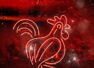 CRIMEAPPLE x V Don Unleash “Bulletproof Chicken”(Album)