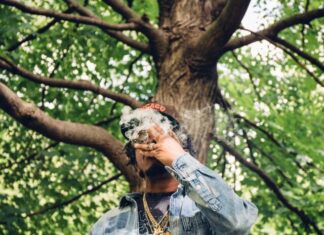 Vic Spencer Says “Trees Are Undefeated”(Album)ft. RIM, Quelle Chris, Panamer P, Raz Fresco, Cavalier, Backwood Sweetie, etc.