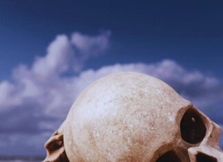 Nowaah The Flood And The Mali Empire Drop “Watermarks”(Album)