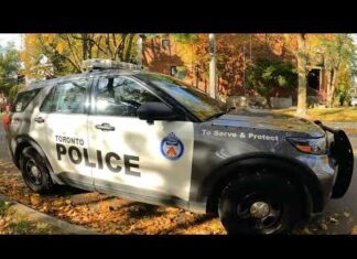 Sibbs Roc Unveils “Black Jazz Summer”(Video)