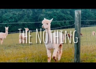 Tali Rodriguez drops “The Nothing” video (prod. ASTROPHYLE & jlb9)