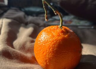 Let The Dirt Say Amen drops “It’s Your PEARL” video