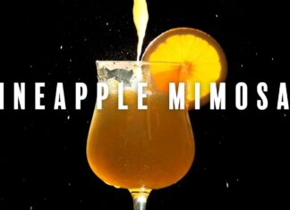ILL Conscious & Finn Deliver “Pineapple Mimosas”(Video)