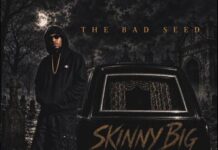 The Bad Seed Unleashes Shade Cobain Laced “Skinny BIG”