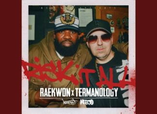 Meeco & DJ Access(ft. Raekwon & Termanology)”Risk It All”
