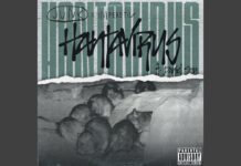 JUNK x IM’PERETIV(ft. Daniel Son)Deliver “Hantavirus”