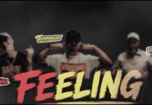 Paul Wall & Termanology(ft. Bun B)Got Dat Feeling”(Video)