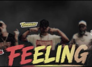 Paul Wall & Termanology(ft. Bun B)Got Dat Feeling”(Video)