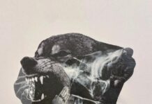 Snotty Says “Wolves Don’t Wear Collars”(Album)ft. Daniel Son, Pro Dillinger, BeenOfficialLord, Mvck Nyce