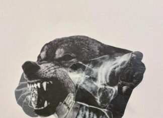 Snotty Says “Wolves Don’t Wear Collars”(Album)ft. Daniel Son, Pro Dillinger, BeenOfficialLord, Mvck Nyce
