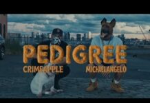 CRIMEAPPLE & MICHAELANGELO Unveil “Pedigree”(Video)