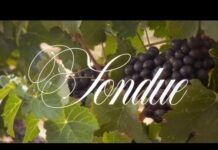 CRIMEAPPLE & MichaelAngelo Deliver “Fondue”(Video)