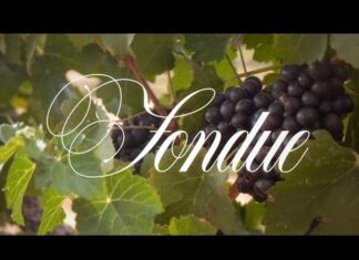 CRIMEAPPLE & MichaelAngelo Deliver “Fondue”(Video)
