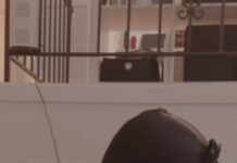 Stu Bangas x Young Reese Dude Drop “Low Low”(Video)